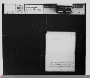 . Korrespondenzen, Denkschriften und Notizzettel des Fürsten Wilhelm Hyacinth von Nassau-Siegen: Korrespondenzen mit dem Sekretär J.C.J. Ruffe zu Avignon