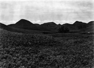 Hochfläche auf Sumatra : Durch Erosion zerstörte Hochfläche. Nahezu vollständig von Gras bewachsen.