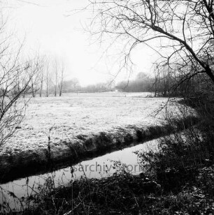 Ehlersberg: Alster: vorn Sträucher und Bäume: dahinter Wiesen: hinten Wald: Winter
