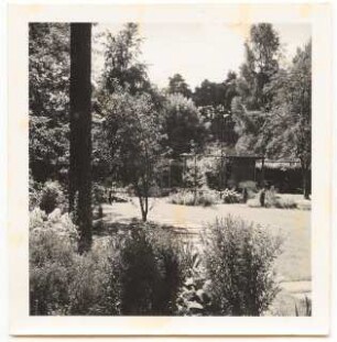Garten Zintsch, Berlin-Zehlendorf: Gartenlaube im Sommergarten