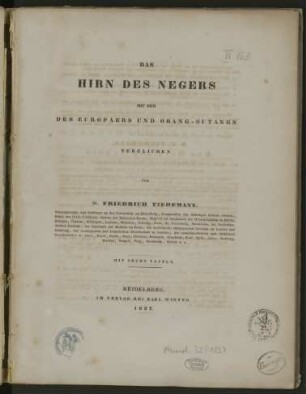 Das Hirn des Negers mit dem des Europäers und Orang-Outangs verglichen