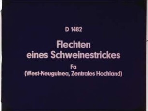 Flechten eines Schweinestrickes - Fa (West-Neuguinea, Zentrales Hochland)