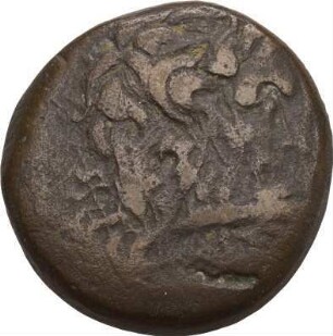 Ptolemaios V. Epiphanes (204-180 v. Chr.): Tyros / Phönizien (Libanon), 204-180 v. Chr. – Drachme [nach Katalog Weiser 1995]