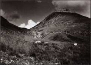 Berglandschaft (Altersgruppe 18-21)