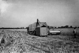 Mähdrescher mit angehängtem Kornsammelwagen