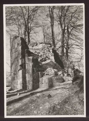 Ruine Falkenburg. Detmold. Papierabzug