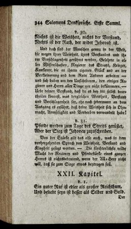 XXII. Kapitel.