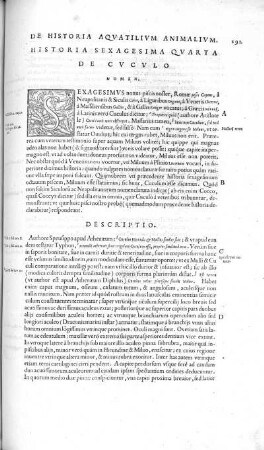 Historia Sexagesima Quarta. De Cuculo