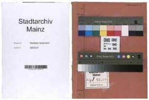Übernahme des Vermögens der Bezirksstelle Mainz der Reichsvereinigung der Juden in Deutschland durch das Finanzamt Frankfurt-Außenbezirk, Verwertungsstelle