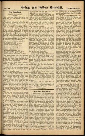 Zweite Ausgabe vom Samstag, den 11. August 1877.