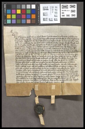 Bingenheim (Dorf): Kaufbrief einer Hube Landes zu Bingenheim an das Kloster Hirzenhain