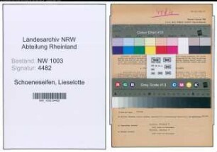 Entnazifizierung Lieselotte Schoeneseifen , geb. 24.04.1919 (Stenotypistin)