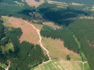 Langewiesen : Windbruch