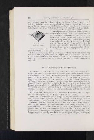 Andere Nahrungsmittel aus Pflanzen.