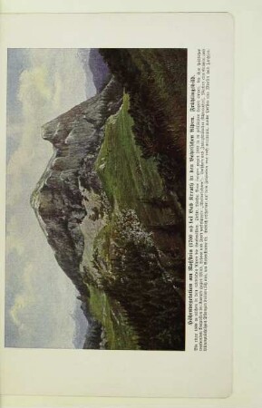 Höhenvegetation am Roßstein (1700 m) bei Bad Kreuth in den Bayrischen Alpen. Frühlingsbild