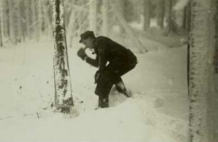 Schellerhau : Schellerhau. Beim Bäumefällen