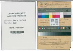 Entnazifizierung Hermann Borm , geb. 06.01.1907 (Kaufmann)