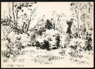 Zeichenübungen und Skizzen: Skizze: Wiese und Bäume