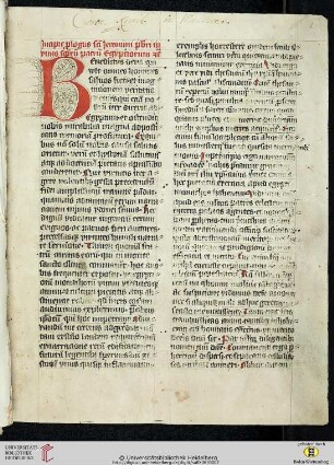 [Rufinus Aquileiensis:] Historia monachorum