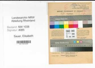 Entnazifizierung Elisabeth Sauer , geb. 13.05.1911 (Lehrerin)