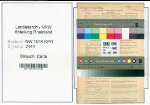 Entnazifizierung Carla Strauch , geb. 07.03.1904 (Kindergaertnerin)