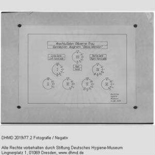Technische Unterlagen Gläserne Frau (englisch) - "Anschlußplan Gläserne Frau Connection diagram Glass Woman"