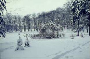 Kurpark: Spuren im Schnee: vorn Büsche: hinten Baumreihe: Winter