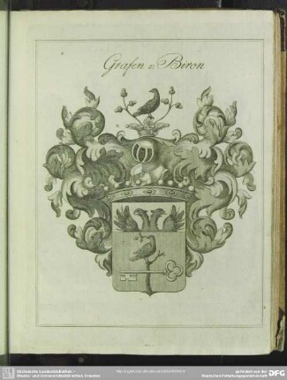 Grafen v. Biron
