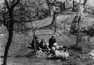 Mehrer Paare sitzen auf einer Wiese zwischen Kirschbäumen. Sie machen ein Picknick