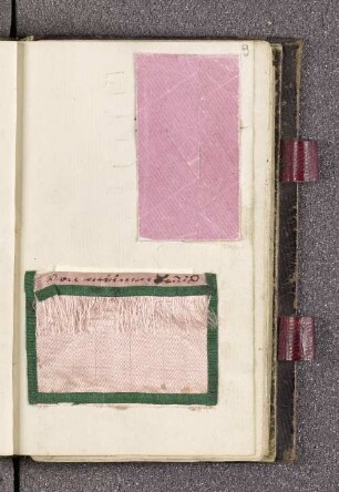 Eingeklebte Briefumschläge, Pflanze, Eintrag