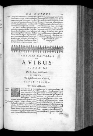 Liber III. De Avibus Insectivoris