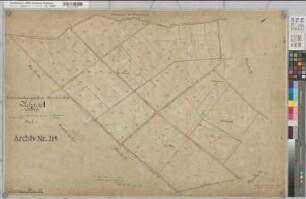 Epe, Gronau (Gronau), Alstätte (Ahaus), Wessum (Heek), Zusammenlegung des Amtsvenns, Bl.3 Urkarte II Gronau Flur 27