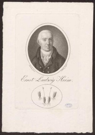 Heim, Ernst Ludwig