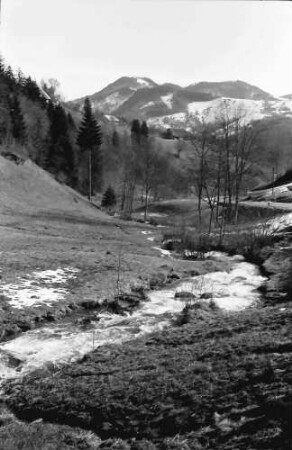Aitern: Aitertal mit Blick auf Staldenkopf