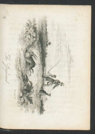 Tafel: The Greyhound.