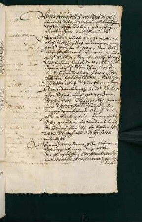 Nr. 191: Benachrichtigung Dr. Bidenbachs von der Wahl, 1628.