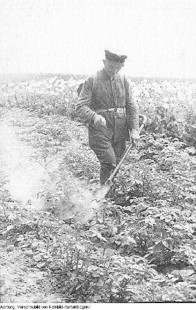 1. Landwirtschaftliche Leistungsschau, 8. Juli 1950