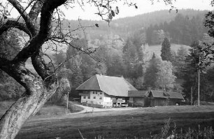 Schwarzwaldhof in Höfen bei Kirchzarten