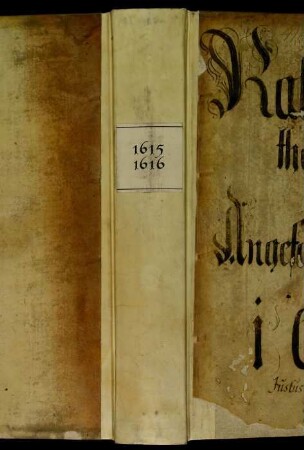 Ratsprotokolle, 1615 Aug. 1. - 1616 Juli 23.