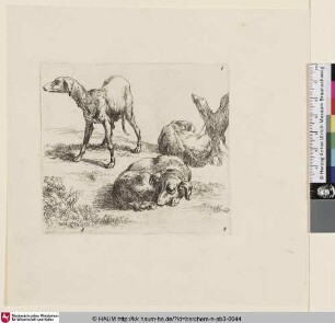 [Drei Jagdhunde; The so-called Man's Book, 8; Trois chiens de chasse]