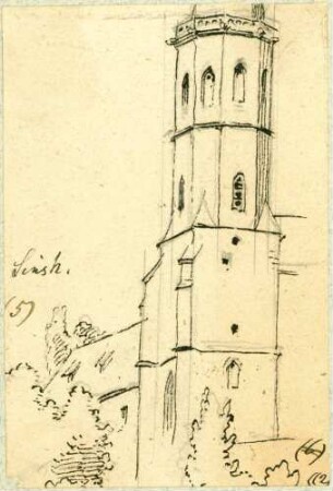 Sinsheim Turm Stiftskirche von Westen