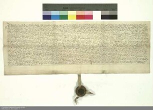 Revers Valentins von Geyso zu Völkershausen und Mansbach bezüglich der Belehnung mit einem Teil des Schlosses in Mansbach und weiteren im Einzelnen aufgeführten Lehen durch Placidus [von Droste], Abt von Fulda