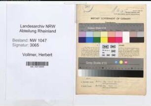 Entnazifizierung Herbert Vollmer , geb. 29.12.1906 (Ingenieur)
