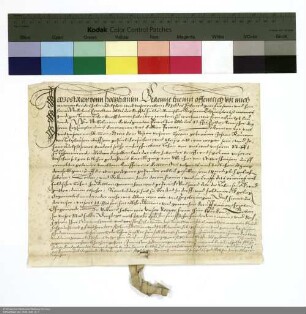 Revers Josts Rau von Holzhausen bezüglich der Belehnung mit drei Huben in Berstadt durch Wilhelm [Hartmann von Klauer zu Wohra], Abt von Fulda