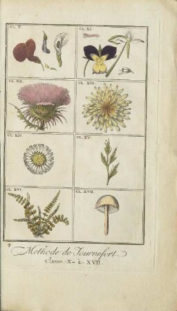 Illustration: Methode de Tournefort. Classe -X-à-XVII.