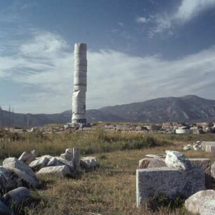 Samos. Heraion. Blick vom Südbau auf die Kolonna