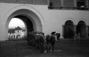 Horez: Ochsengespann im Torbogen des Klosters