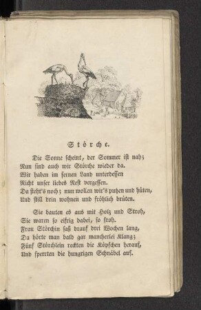 Störche.
