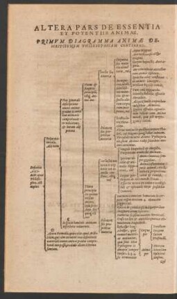 Altera Pars De Essentia Et Potentiis Animae.