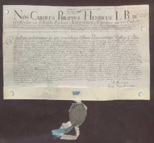 Zeugnis über zweijährige Studien des Franz Karl Philipp Anton Greiffenclau von Vollrads zu Mainz.